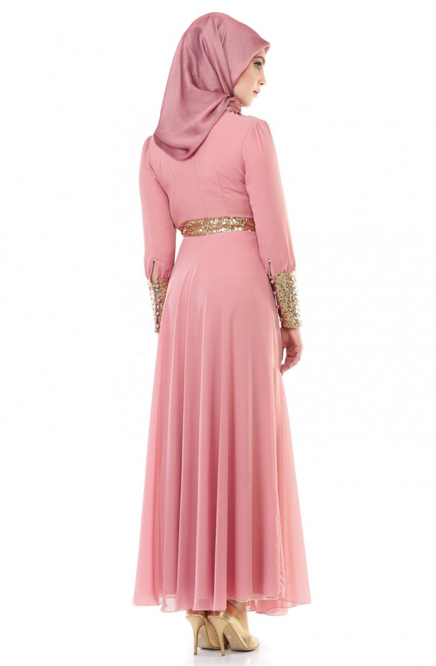 Evening Dress Dress-Dried rose ARM7015-53
