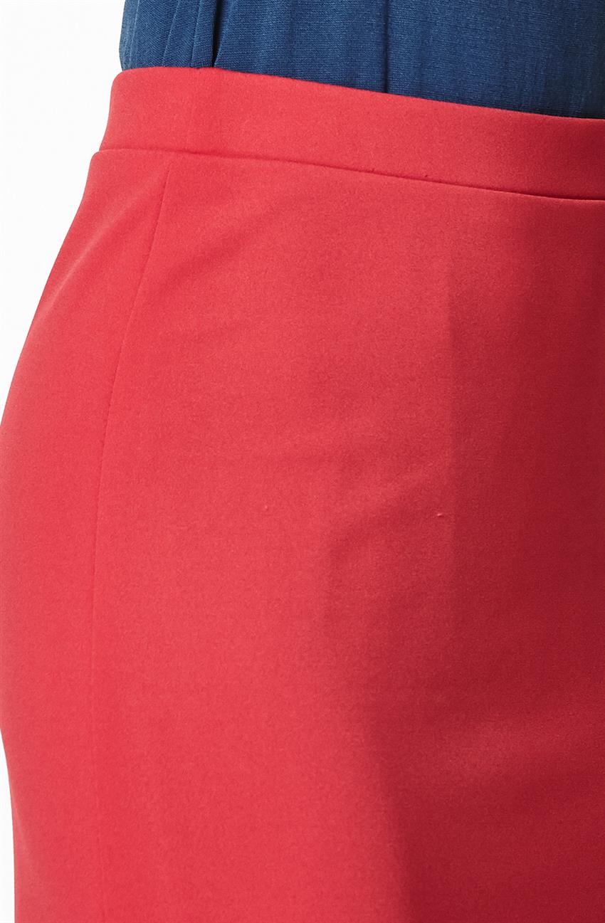 Skirt-Red 2009-1-34