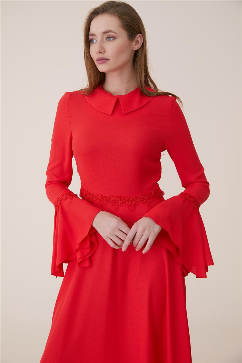 Evening Dress Dress-Red Z1179-11