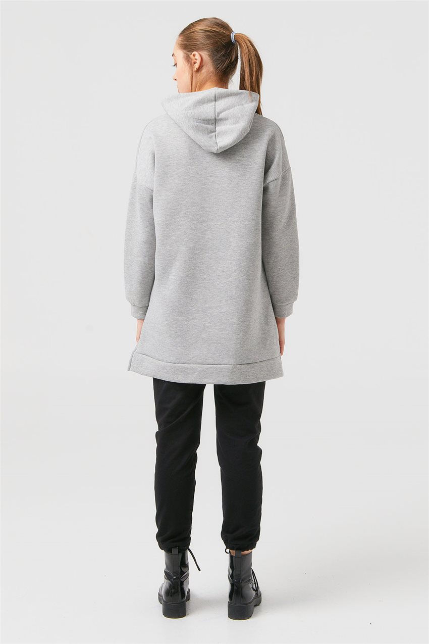 Sweatshirt-Gray 1063011-04