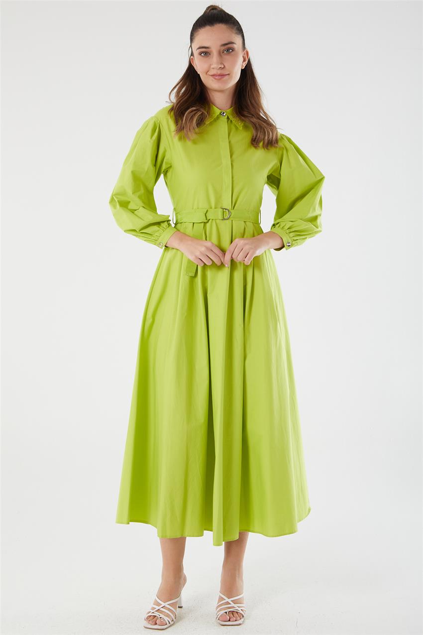 Dress-Pistachio Green KA-B23-23042-586
