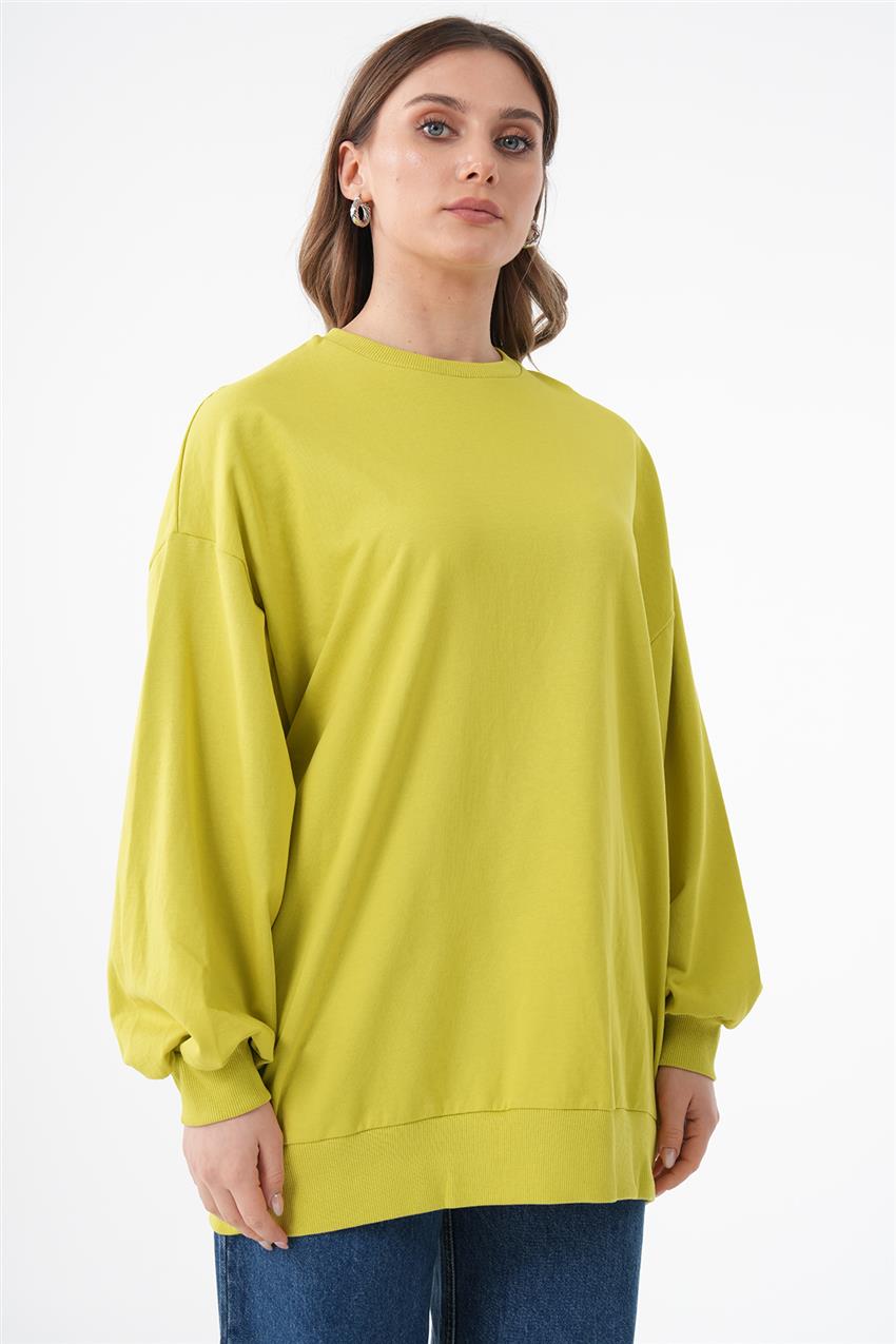 Sweatshirt-Pistachio Green 270028-R090