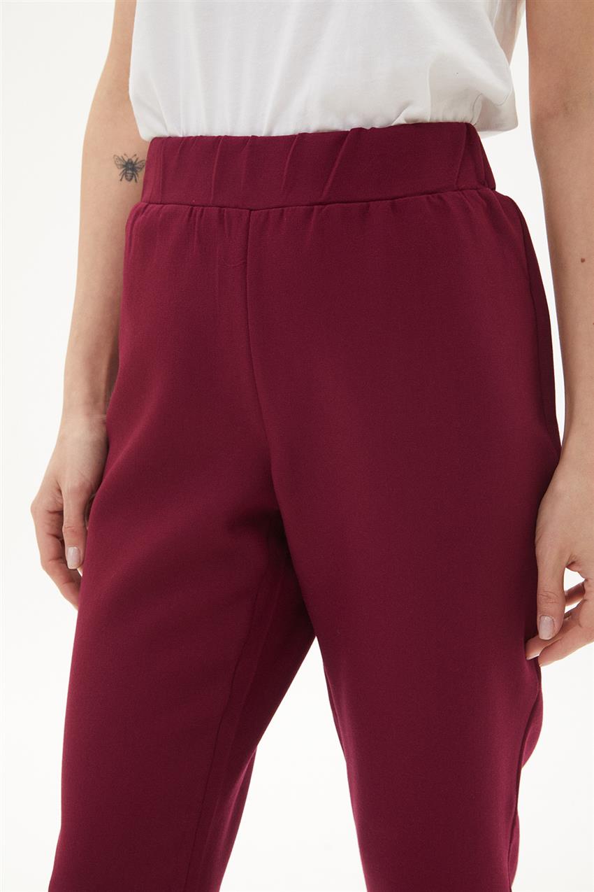 Pants-Plum 5431-51