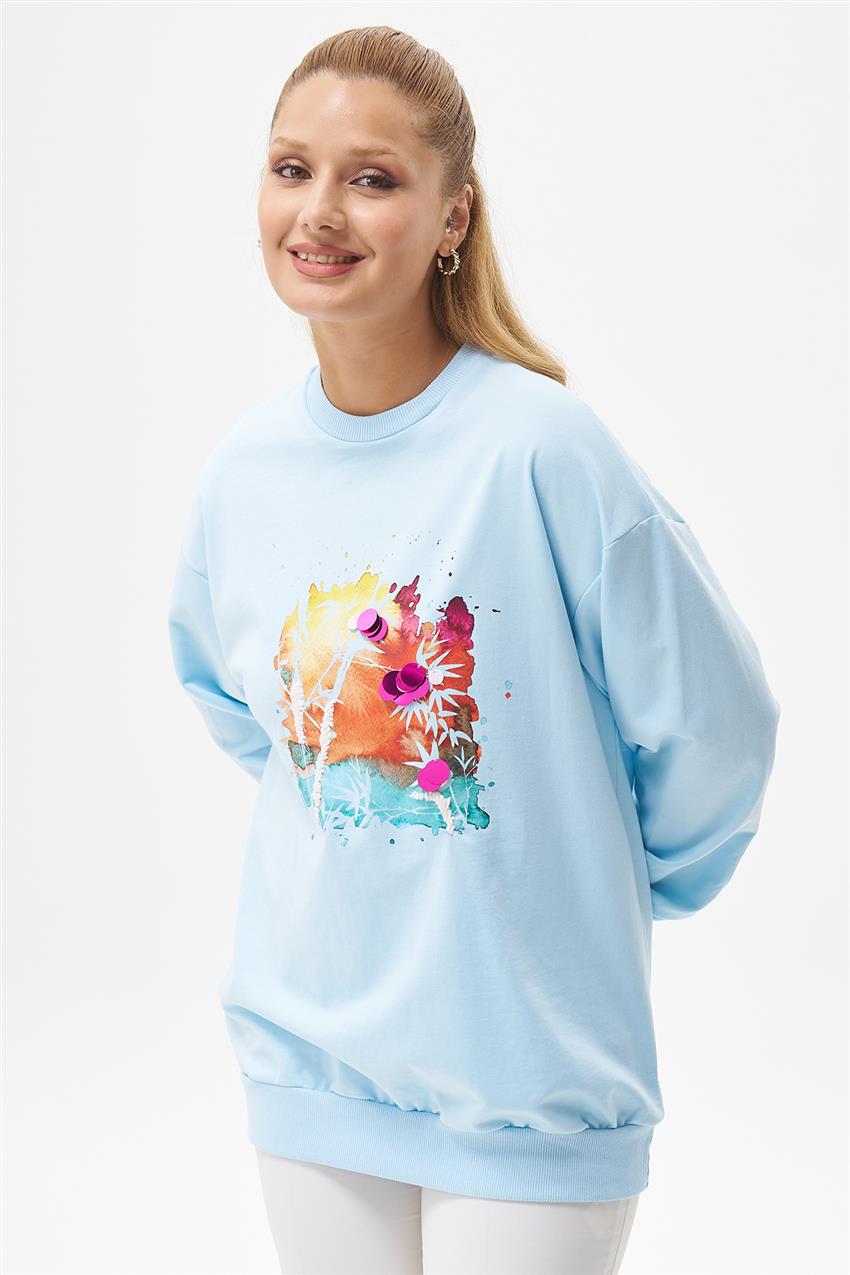 Sweatshirt-Ice Blue 270107-R061